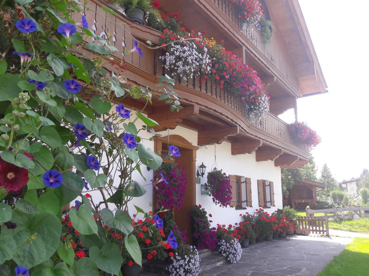 Villa Hofbauer Itter Exterior foto