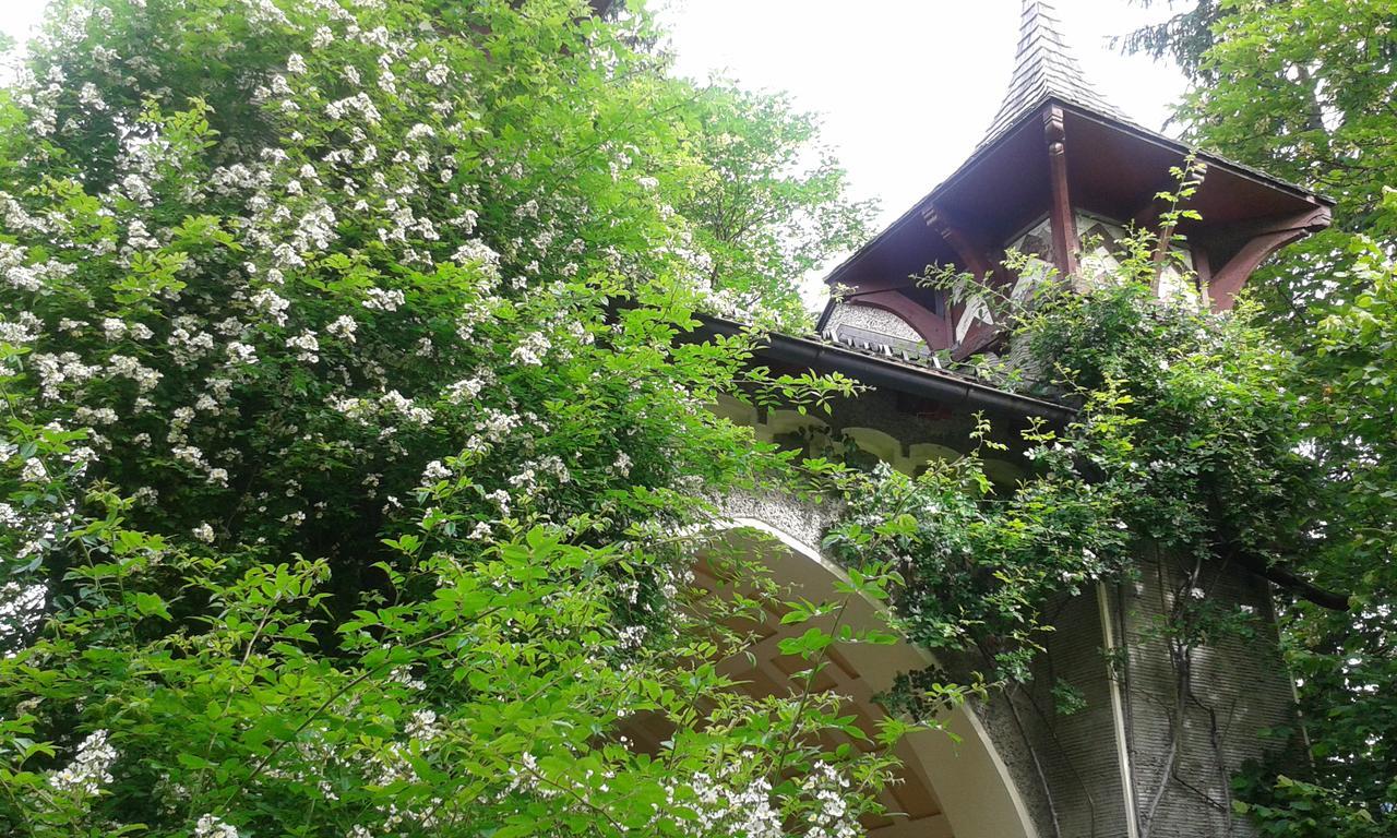 Villa Hofbauer Itter Exterior foto